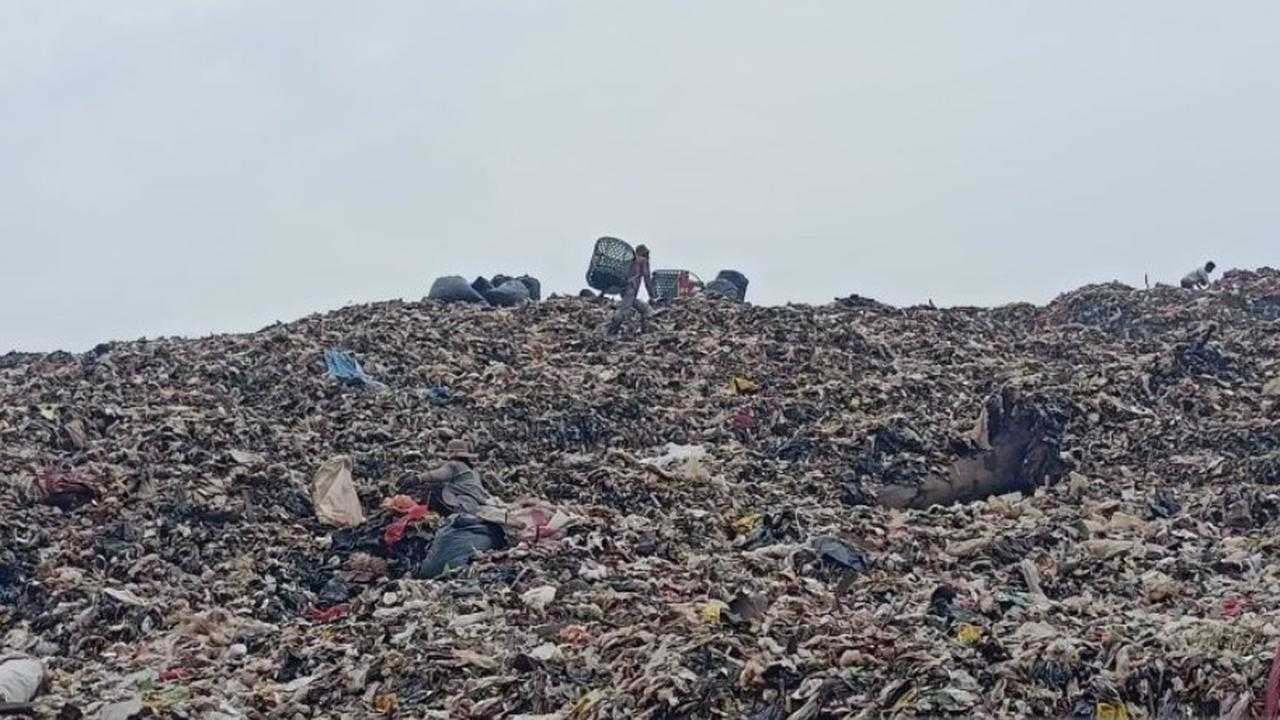 Search image article