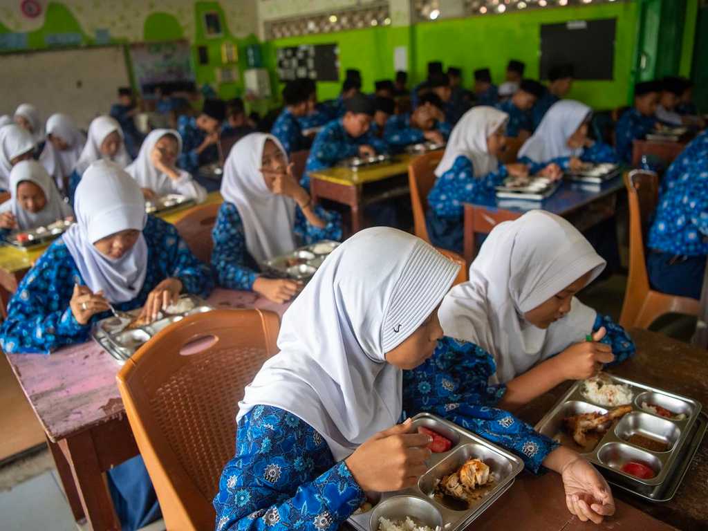 Search image article