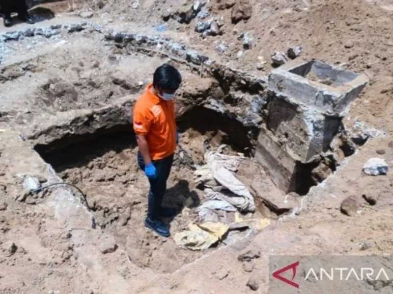 Search image article