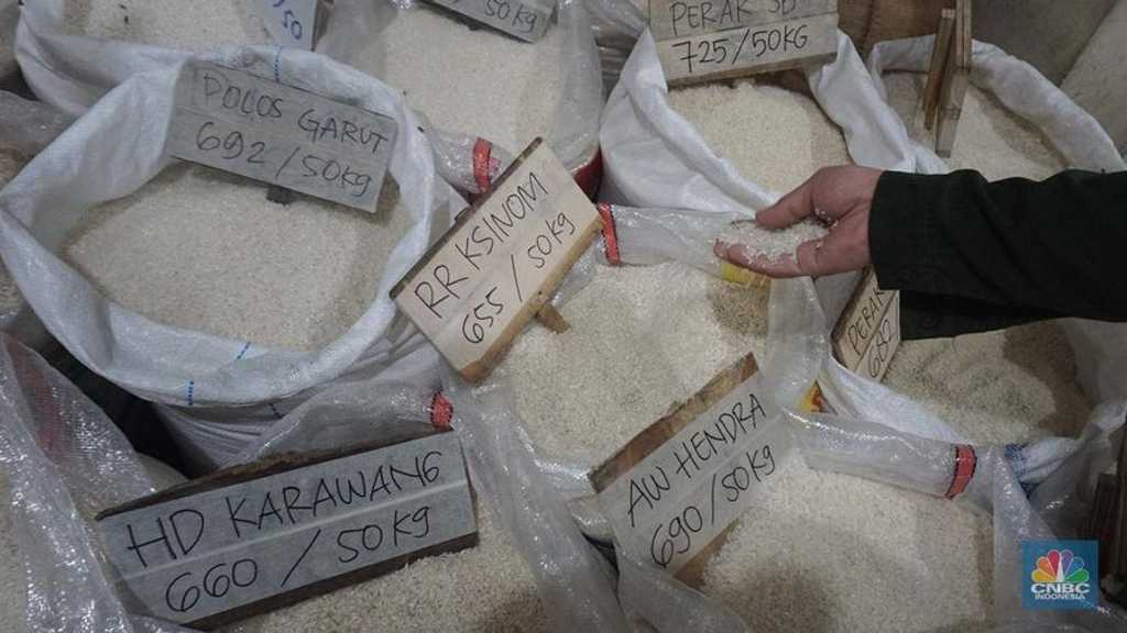 Wamentan Sudaryono Tegas: Wacana Satu Harga Beras Belum Diputuskan, HET Medium Naik!