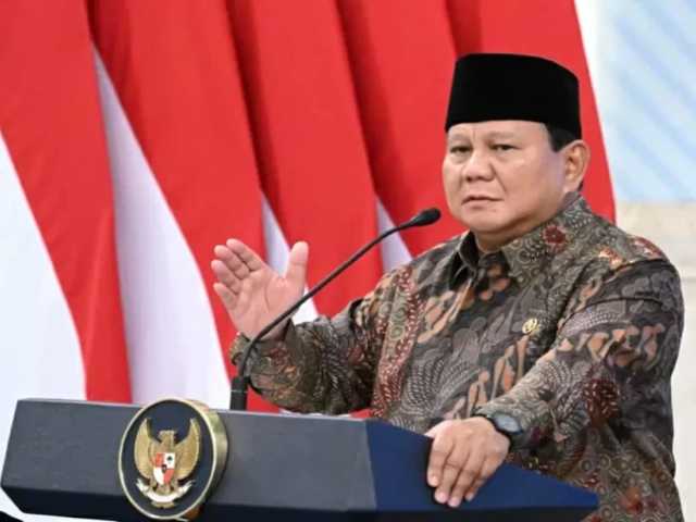 Search image article