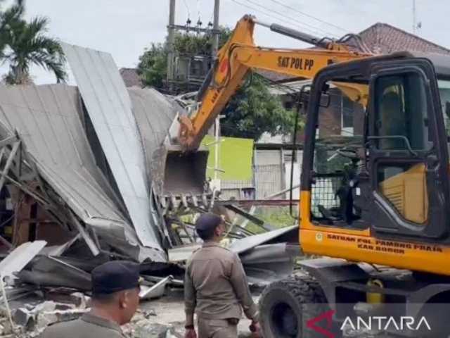 Search image article