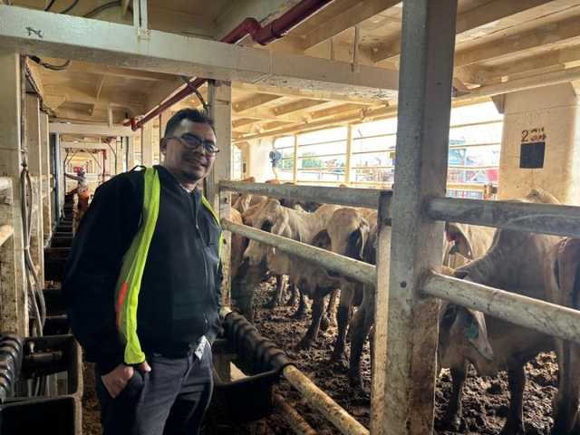 Search image article