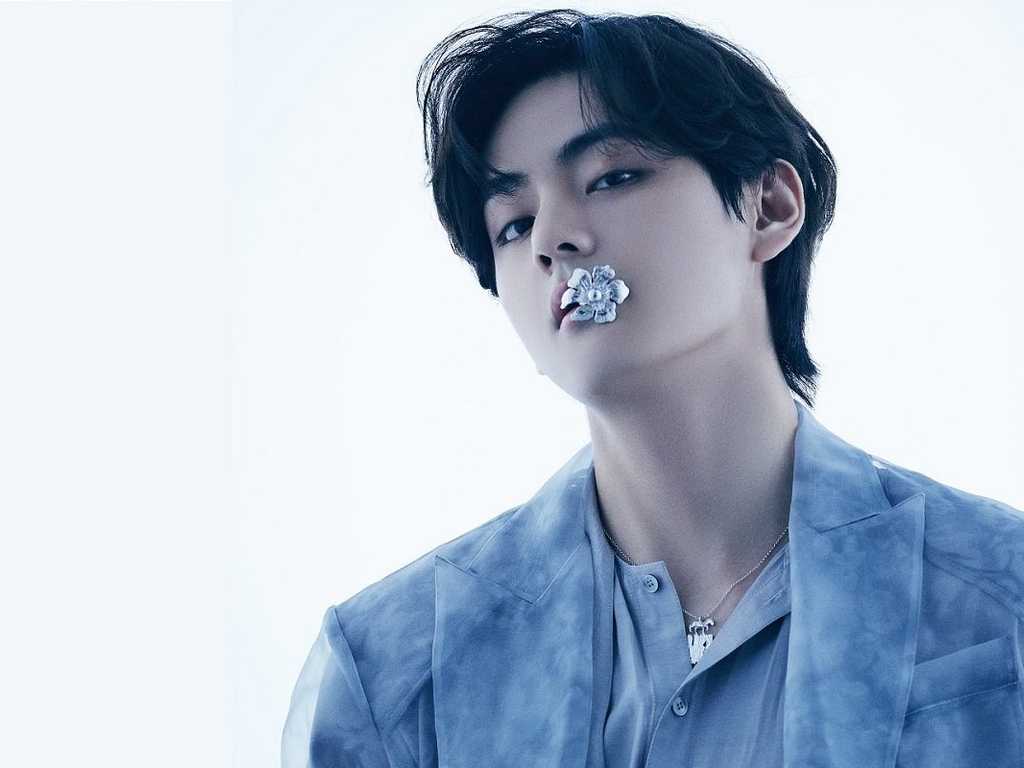 Search image article