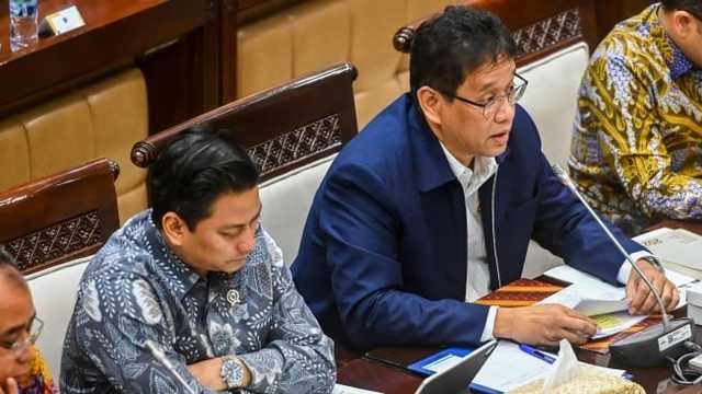 Search image article