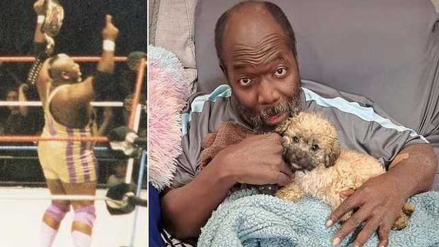 Search image article