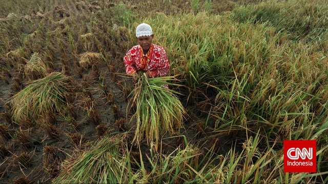 Search image article