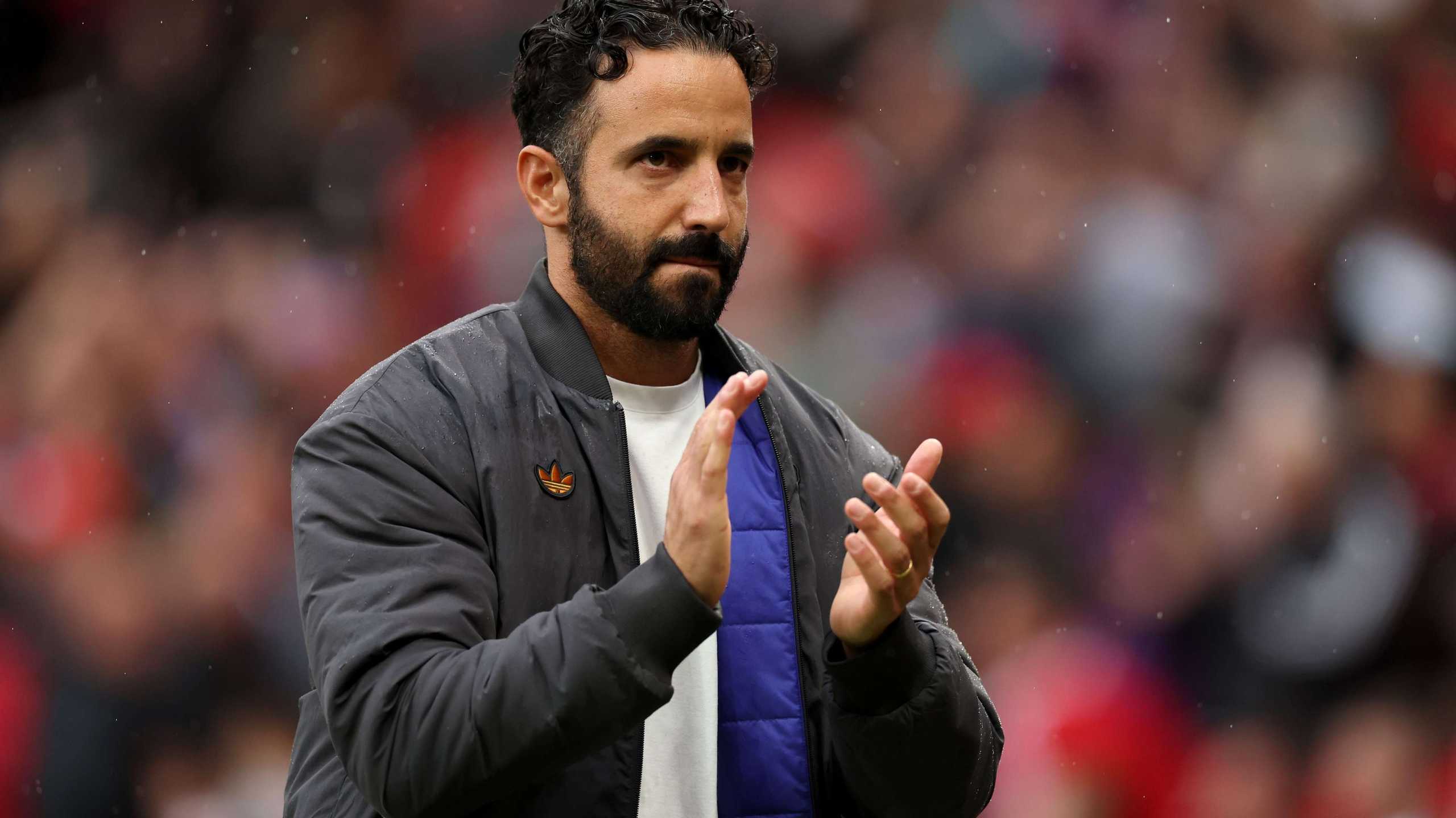 Search image article