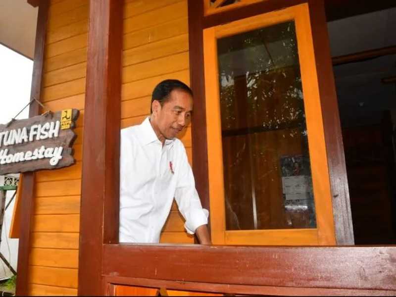 Search image article