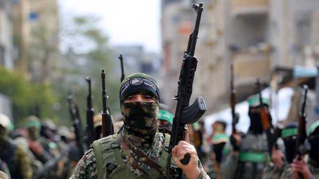 Search image article